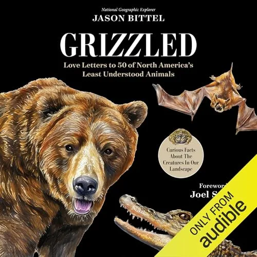 Grizzled By Jason Bittel
